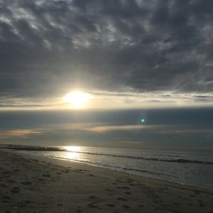 Meet your Posher, Ala